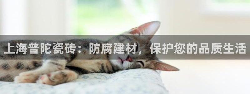 杏鑫平台代理怎么做