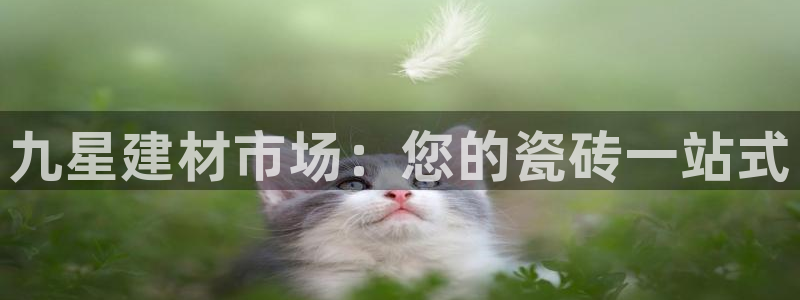 杏鑫官方app代理