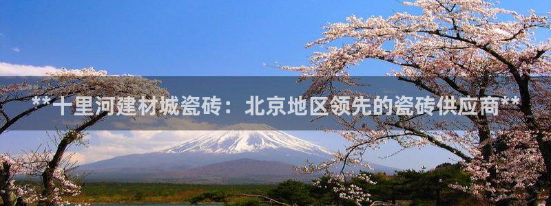 杏鑫平台代理注册多少钱