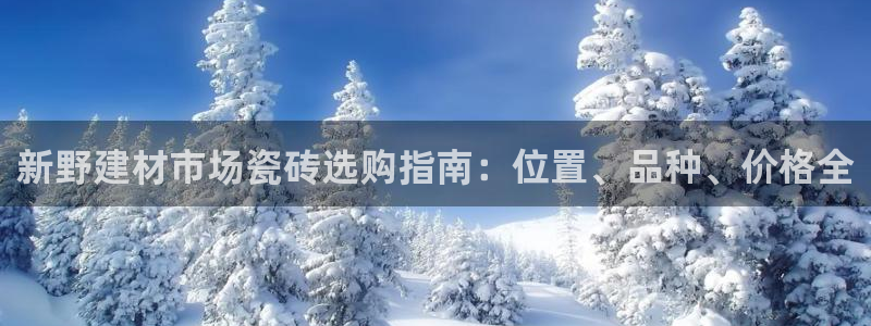 杏鑫平台代理注册登录不了怎么办呀视频