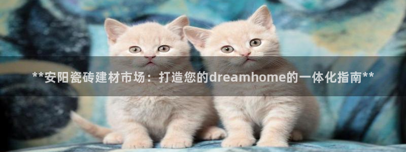 杏鑫娱乐开发团队