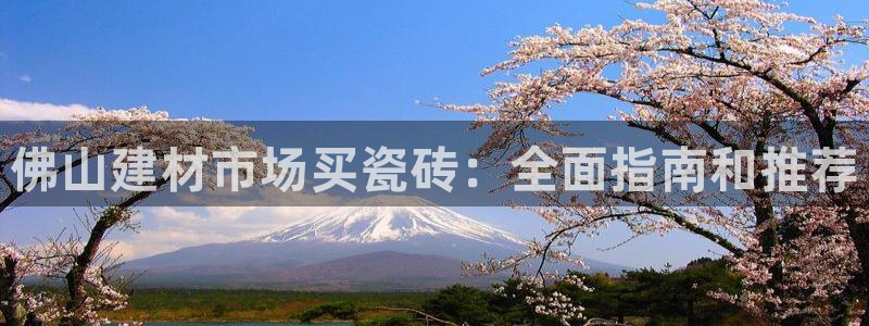 杏鑫手机客户端