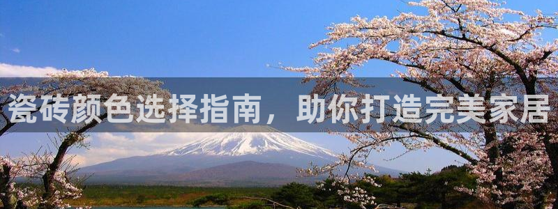 杏鑫平台直属