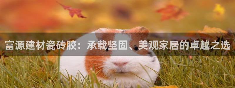 杏鑫平台注册地址是哪里