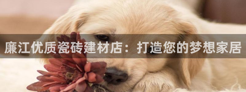 杏鑫娱乐负责人