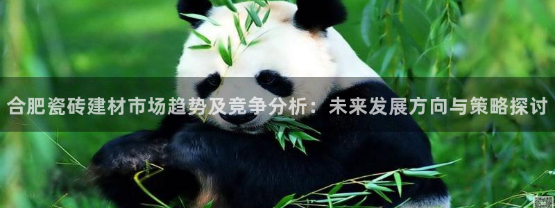 杏鑫娱乐负责人