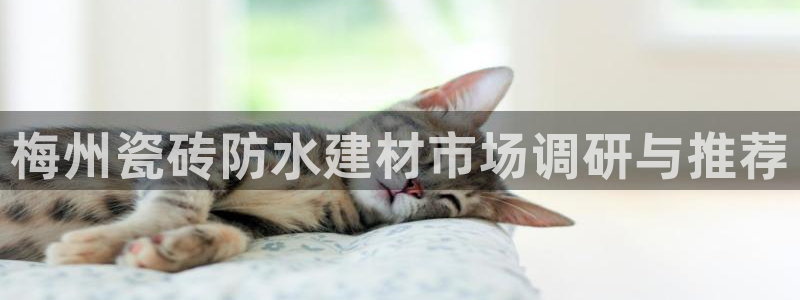 杏鑫娱乐官方网站客户端