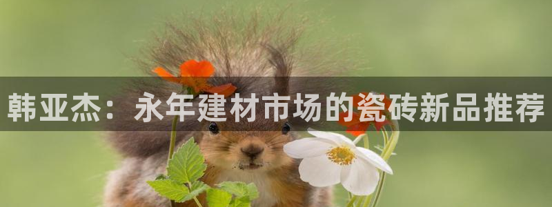 杏鑫平台怎么样黑钱吗知乎推荐