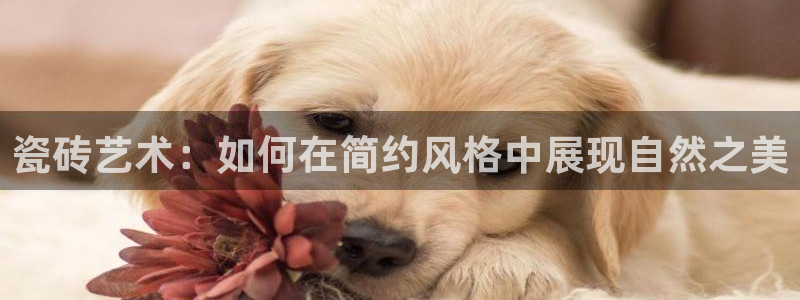 杏鑫平台是黑平台吗