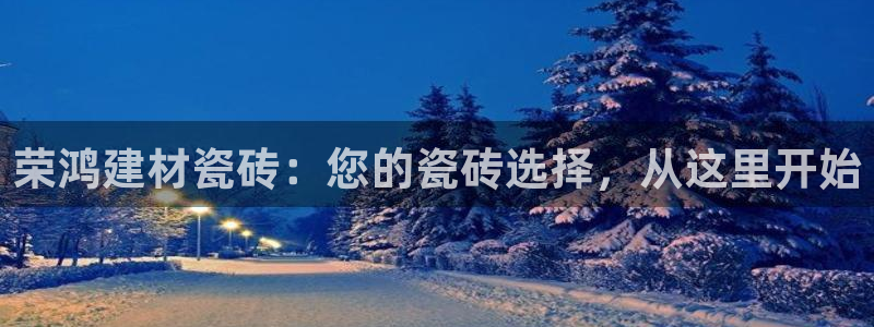 杏鑫官网注册账号是什么样的