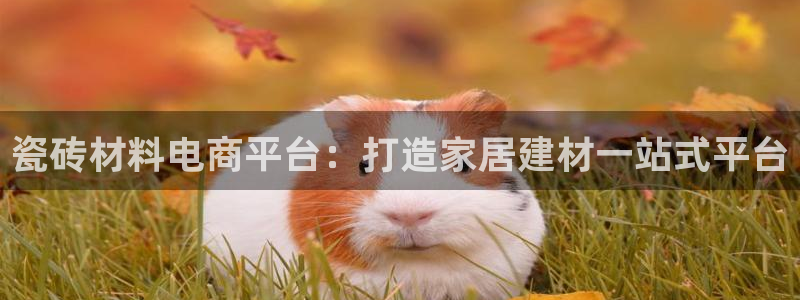 杏鑫平台是黑平台吗是真的吗