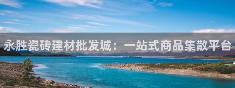 杏鑫平台平台