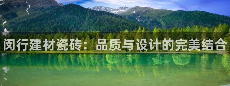 杏鑫娱乐开发团队