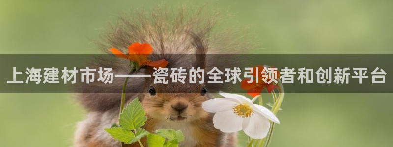 杏鑫平台待遇