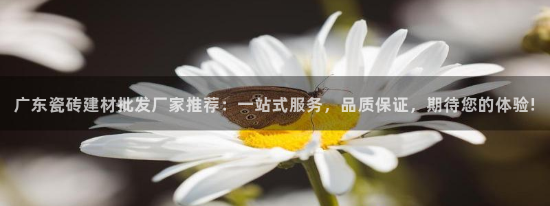 杏鑫平台代理怎么做赚钱