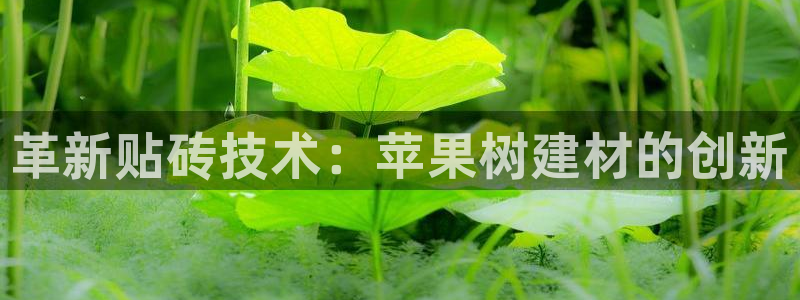 杏鑫平台怎么样知乎