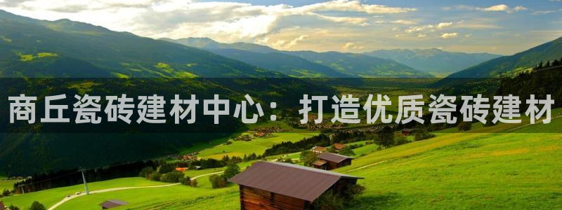 杏鑫官网最新信息新闻
