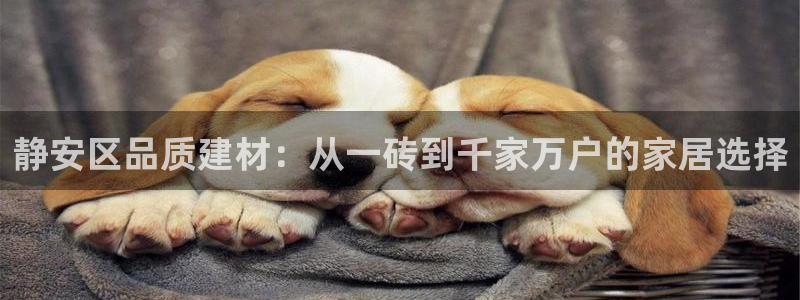 杏鑫平台测速