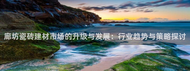 杏鑫平台下载安装