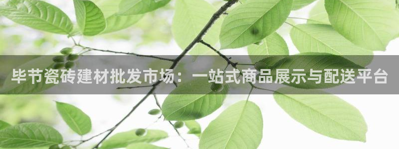 杏鑫平台招商电话号码是多少