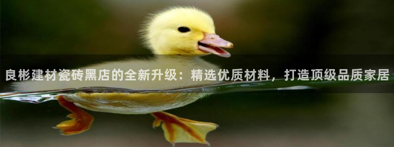 杏鑫平台代理