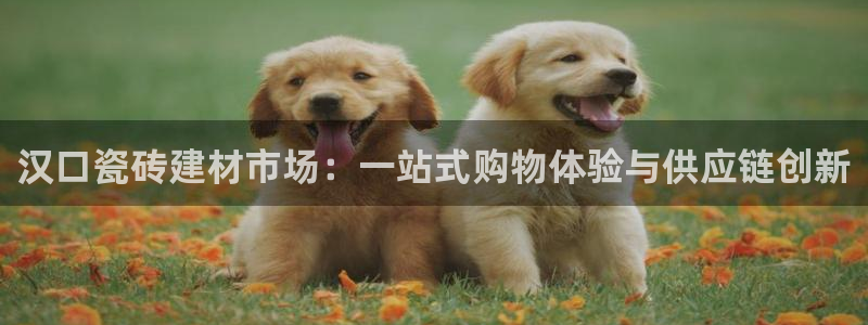 杏鑫平台号7O777
