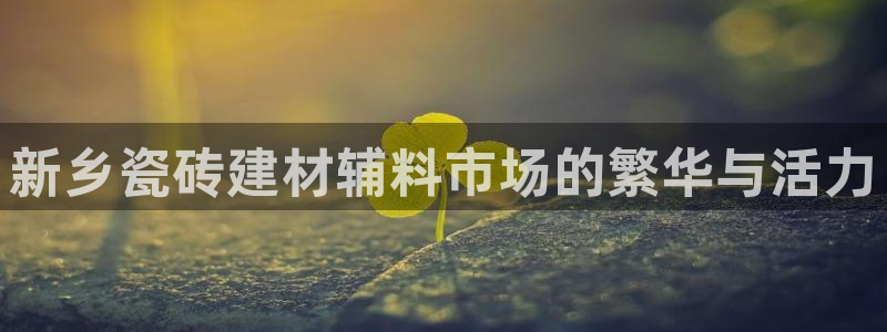 杏鑫代理注册资金多少