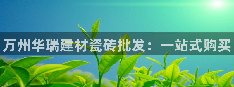 杏鑫平台代理注册流程及费用