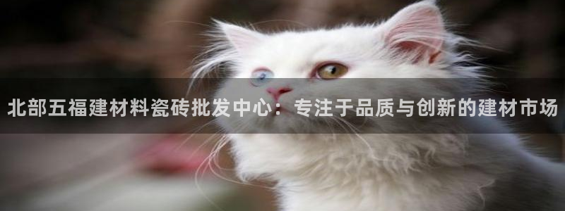 杏鑫平台注册入口