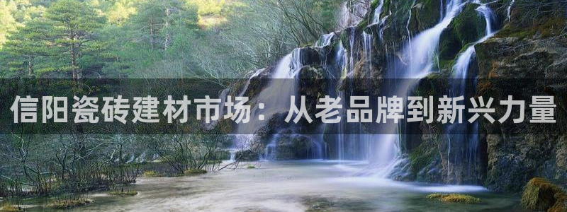 杏鑫平台下载安装