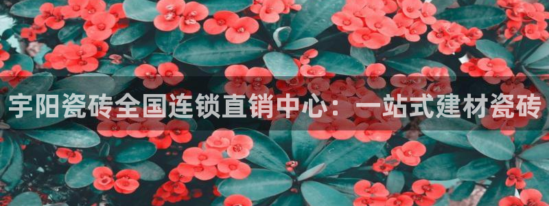 杏鑫平台代理怎么做
