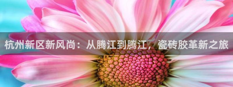 杏鑫平台招商怎么样可靠吗