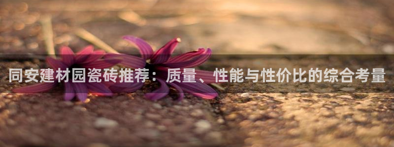 杏鑫平台招商怎么样