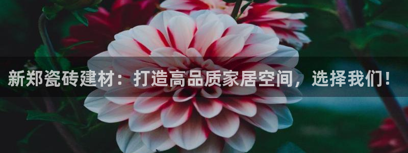 杏鑫官网注册账号密码是多少