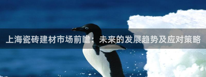 杏鑫平台代理怎么样啊