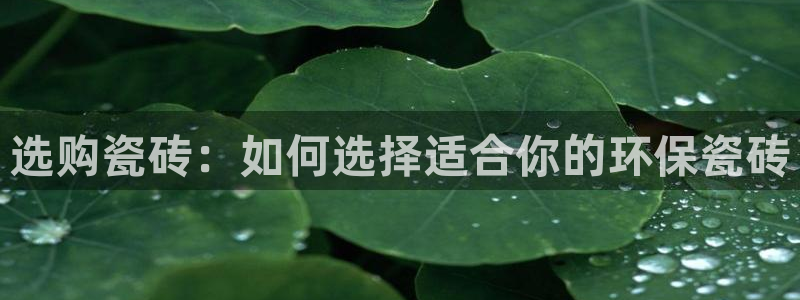 杏鑫平台平台娱乐