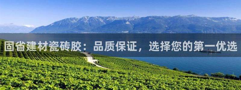 杏鑫登录注册测速