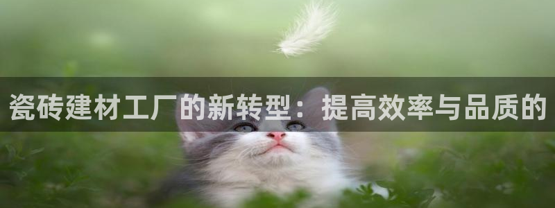 杏鑫注册登录网