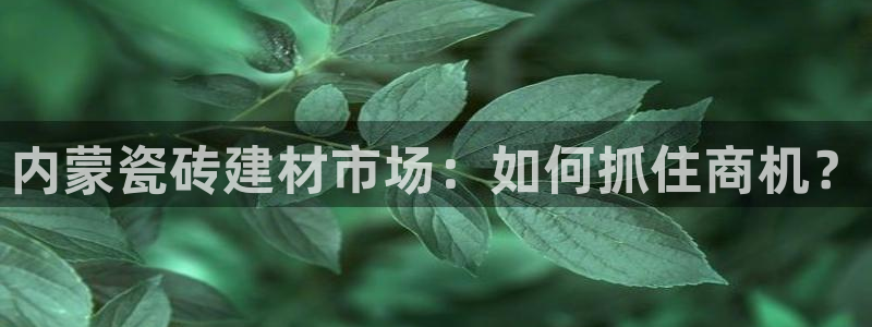 杏鑫娱乐官网登录