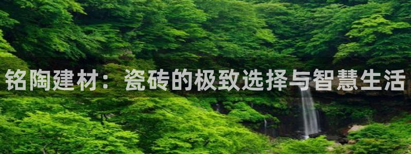 杏鑫平台代理注册流程及费用