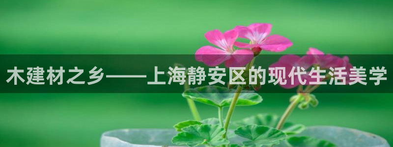 杏鑫平台野马联盟怎么样