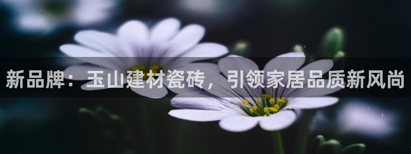 杏鑫平台怎么样黑钱吗安全吗