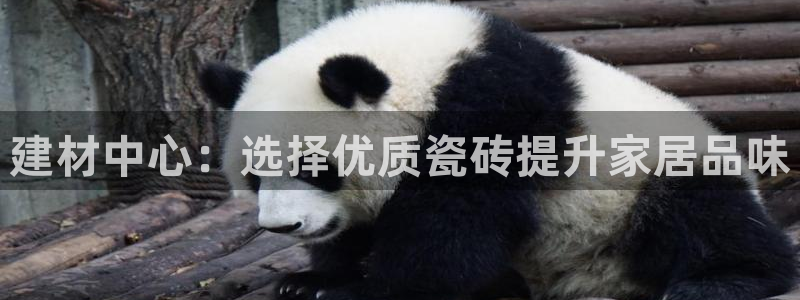 杏鑫平台代理怎么做