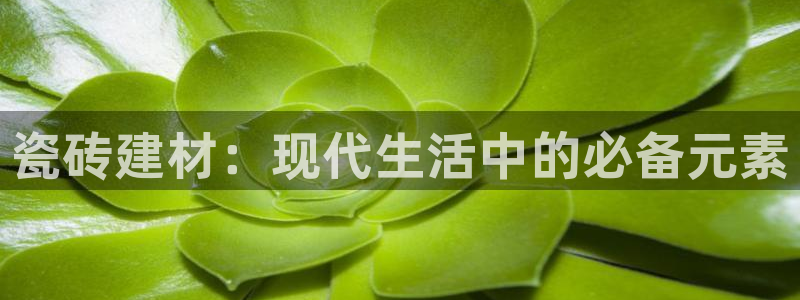 杏鑫官网最新信息新闻