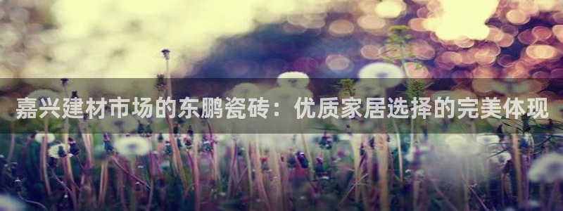 杏鑫平台招商电话号码查询