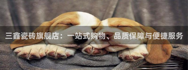 杏鑫娱乐是真的吗还是假的