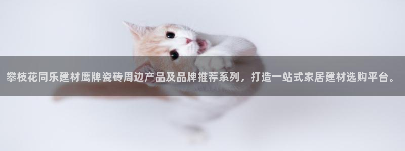 杏鑫平台正规吗可信吗