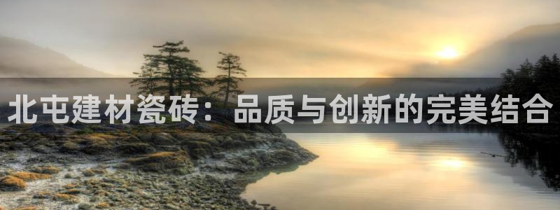 杏鑫登录注册测速