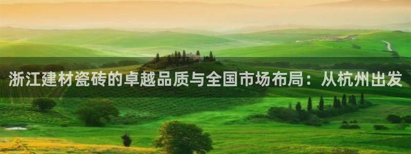 杏鑫娱乐开发团队