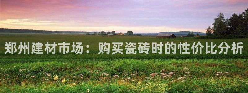 杏鑫平台代理注册登录不了怎么办呀视频